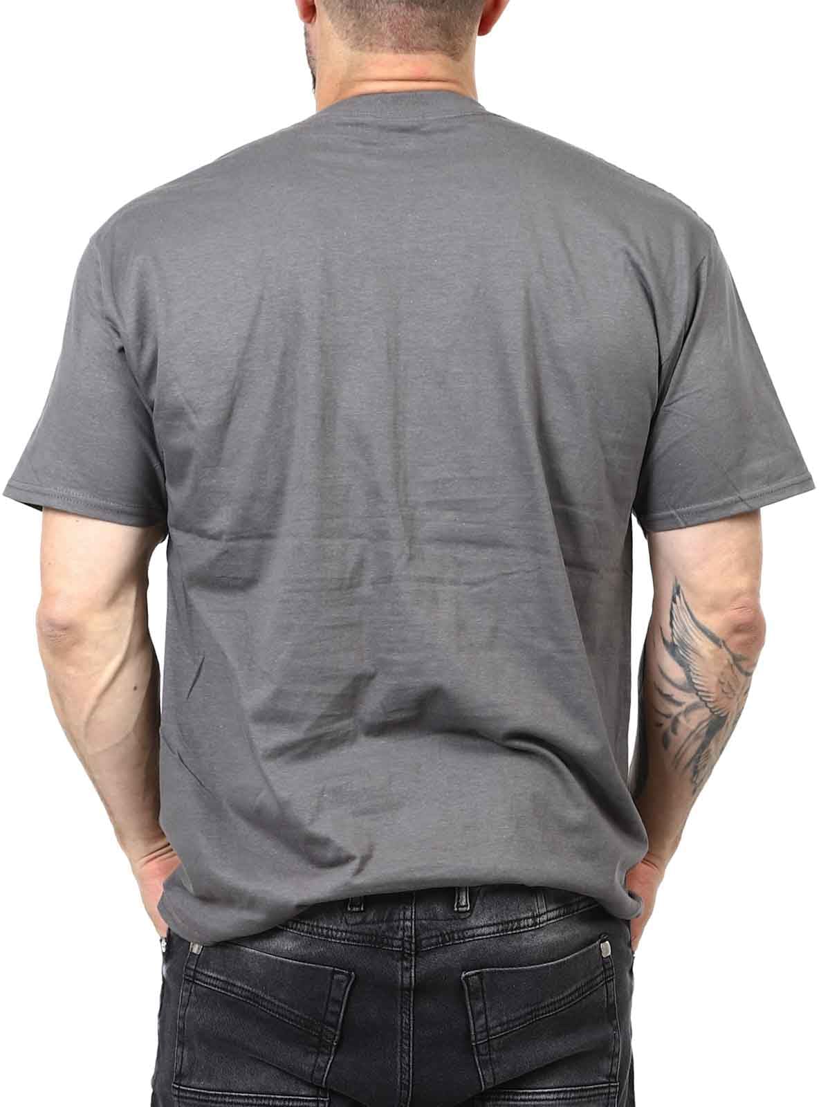 Sex Pistols On Stage T-shirt grey_4.jpg